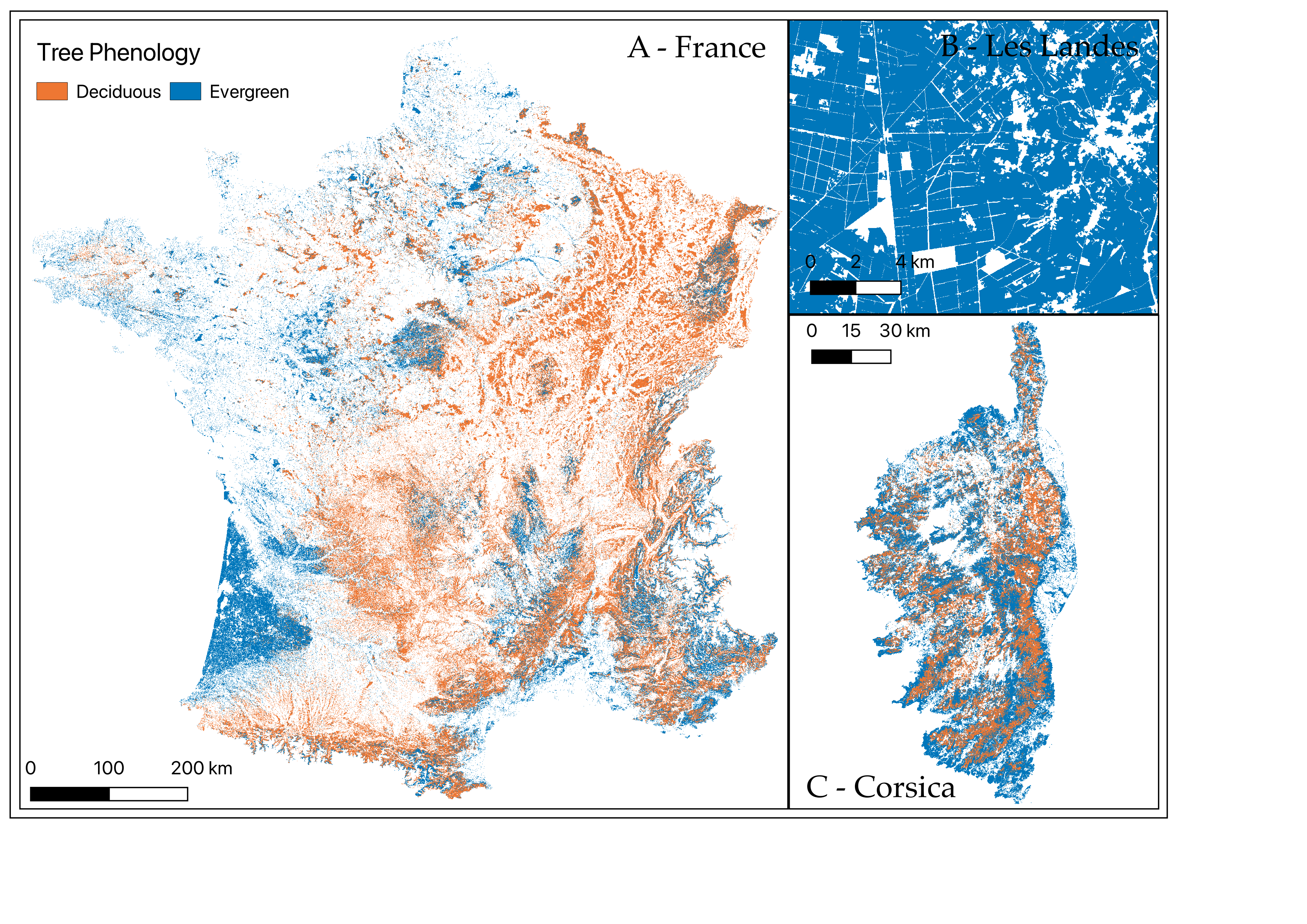 Forest classification map of France showing deciduous and evergreen classes