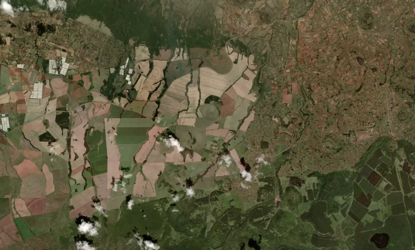Sentinel-2 satellite composite of fields, forest, and settlements near Mount Kenya