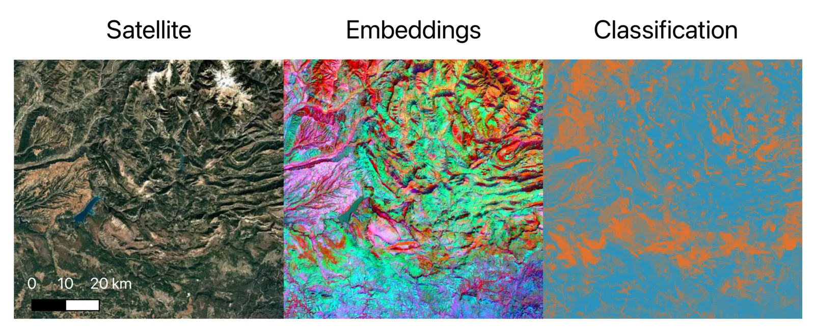 Three aligned views of southeast France: a true-colour satellite image, a multicolour AlphaEarth embedding, and an orange-and-blue deciduous-evergreen classification